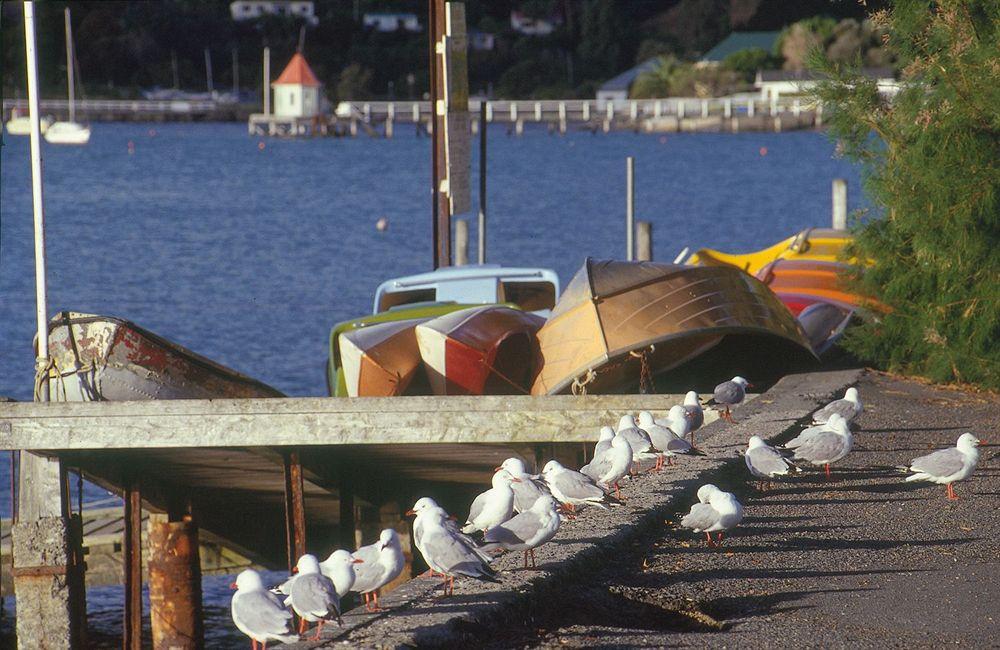 Akaroa Criterion Motel Экстерьер фото